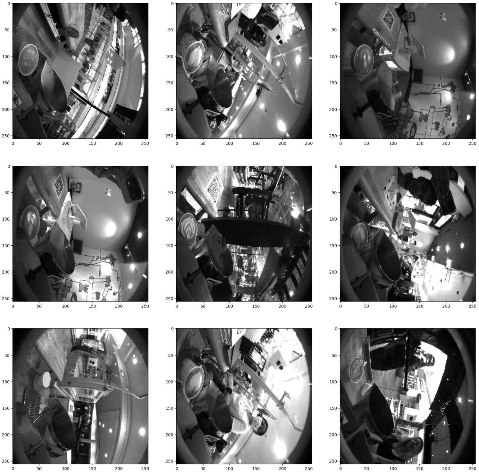 Raw fisheye inputs from overhead camera