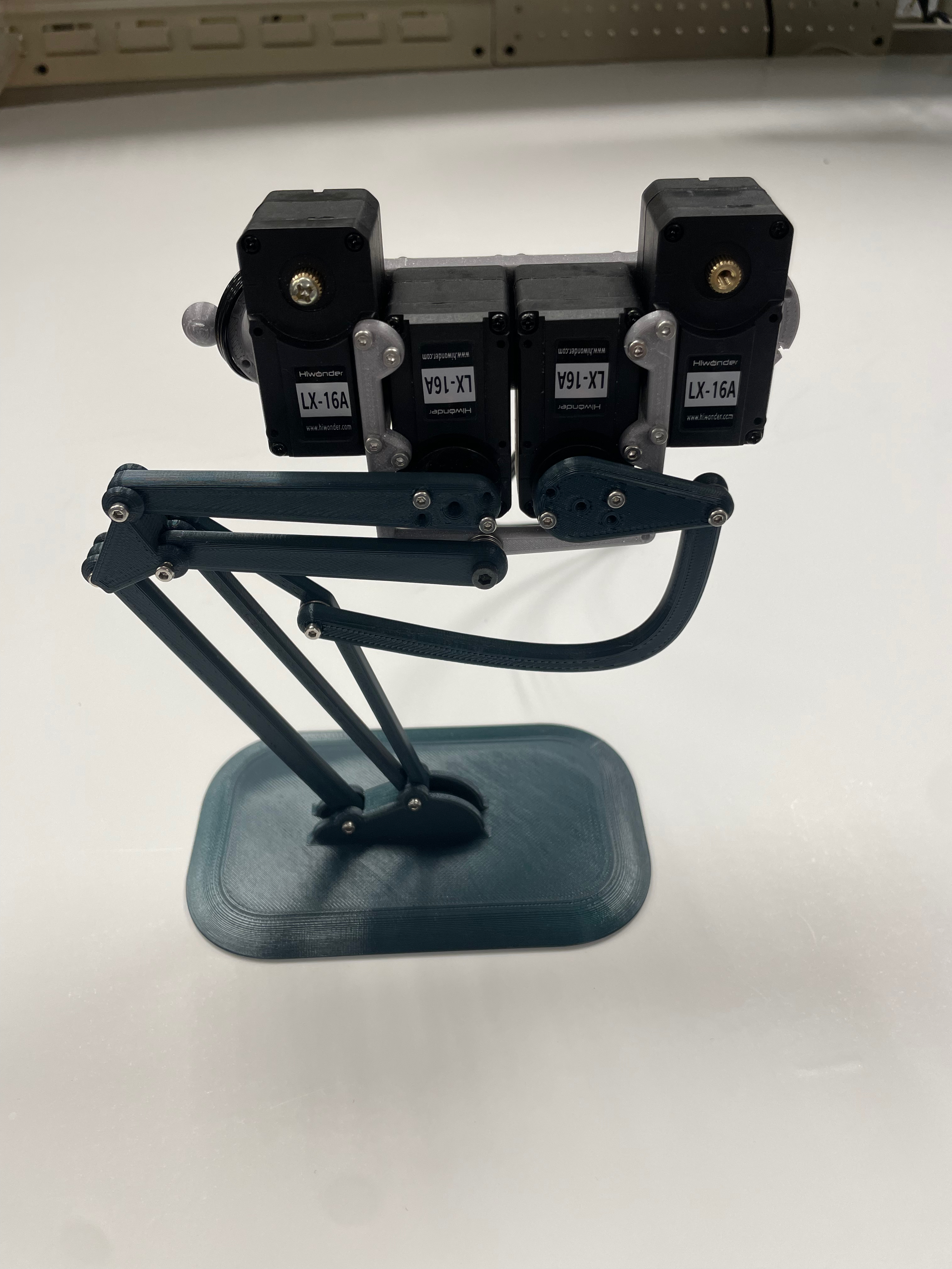 Benji leg close-up crouch