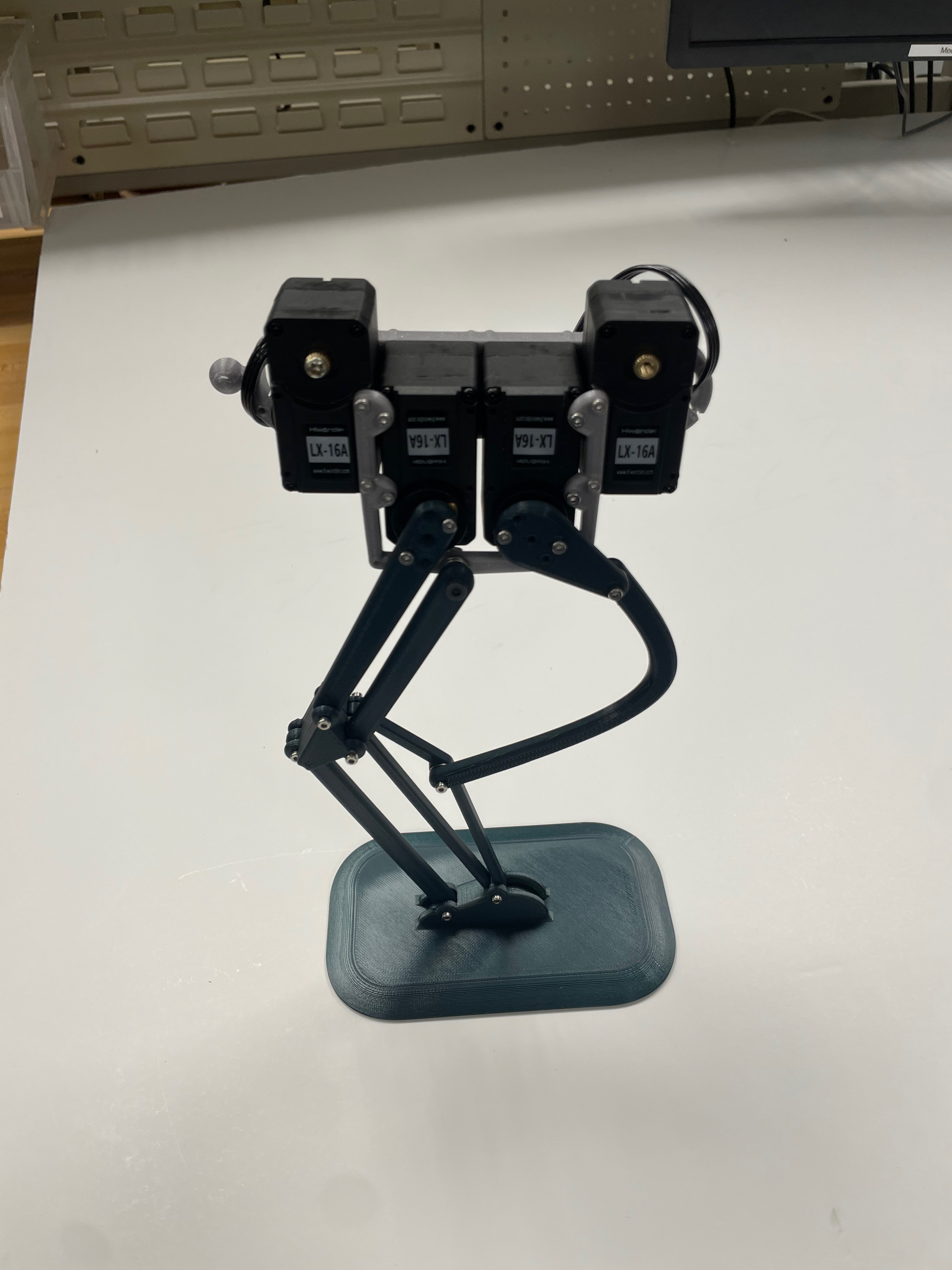 Benji leg close-up standing